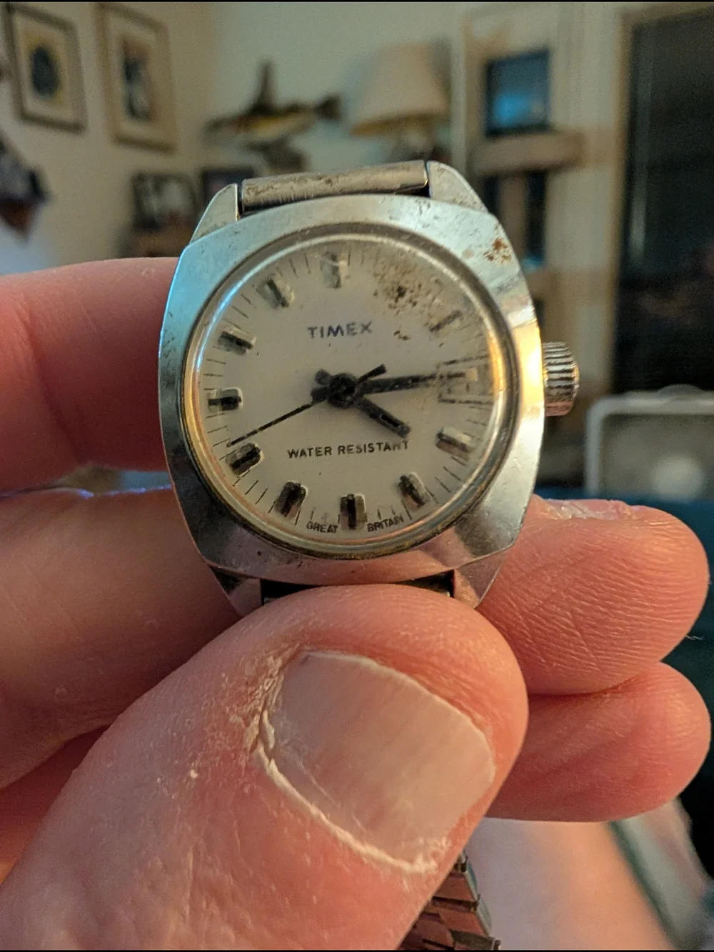 Timex Silver Stainless Steel Water Resistant Watch - White Dial Brand New Batter